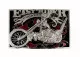 Belt Buckle Easy Rider