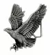Belt Buckle Eagle