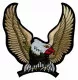 Embroidered Patch Golden Eagle