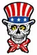 Embroidered Patch - American skull