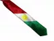 Kurdistan Flag Necktie