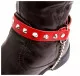 Leather Bootstrap - Pointed Studs
