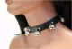 Sleigh Bells Leather Choker