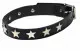 Star Studs Leather Choker