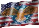 USA Eagle - Flag