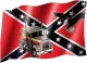 Confederate states eagle & truck - Flag