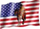 Red Indian - Flag