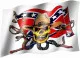 Confederate states skull - Flag