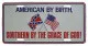 American by birth Blechschild - 30cm x 15cm