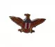 Pin Badge Eagle