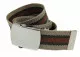 Beige & Brown Canvas Belt