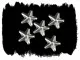 Star Studs 10 mm x 10 mm | 100 Piece