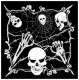Bandana Spiderweb Skull