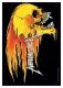 Poster Flag Metallica - Skull & Flames