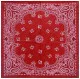 Paisley Bandana Halstuch
