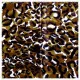 Printed Polyester Scarf Leopard Pattern