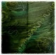Printed Polyester Scarf Nature Pattern Green