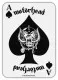 Patch Motörhead Ace of Spades Card