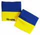 Sweatband Ukraine