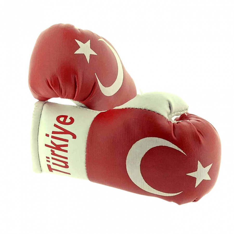 Großhandel Türkiye Mini Boxhandschuhe Autospiegel