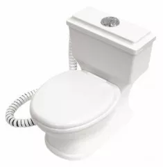 Toilet Telephone