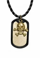 Cool dogtag with skull