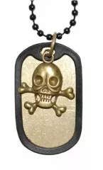 Cool dogtag with skull