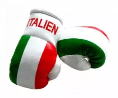 Italy Mini Boxing Gloves