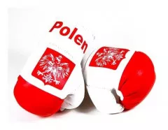 Poland Mini Boxing Gloves