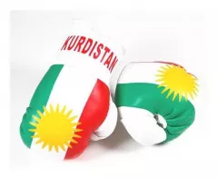 Kurdistan Mini Boxing Gloves