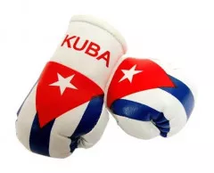 Cuba Mini Boxing Gloves