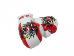Austria Mini Boxing Gloves
