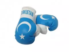 Turkistan Mini Boxing Gloves