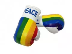Peace Mini Boxing Gloves