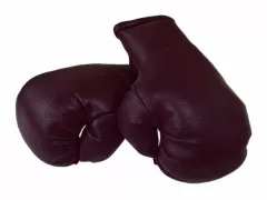 Burgundy Mini Boxing Gloves
