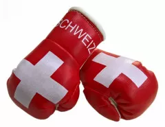 Switzerland Mini Boxing Gloves