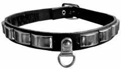 Studded Leather Collar With Ring