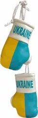 Ukraine Mini Boxing Gloves