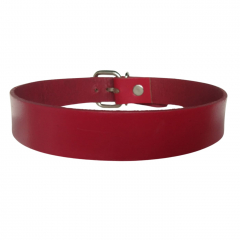 Red Leather Collar Choker