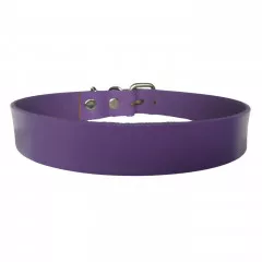 Purple Leather Collar Choker