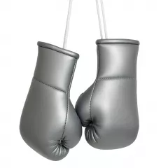 Mini Boxing Gloves Silver