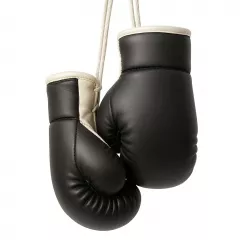 Mini Boxing Gloves Black-White