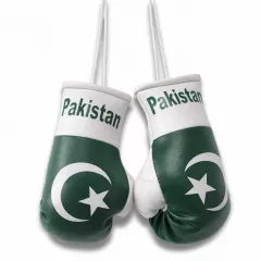 Pakistan Mini Boxhandschuhe