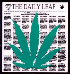 Aufkleber The daily leaf