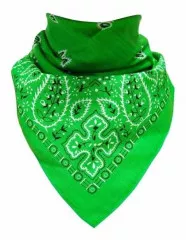 Biker Bandana Halstuch Paisley Muster Grün