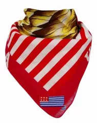 Biker Bandana Halstuch USA Adler