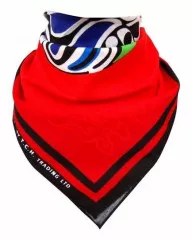 Cooles Bandana Halstuch