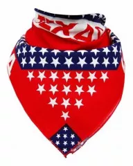 Bandana Halstuch Texas Fahne
