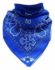 Bandana Halstuch Blau Paisley
