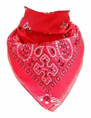 Biker Bandana Halstuch Paisley Muster Rosa